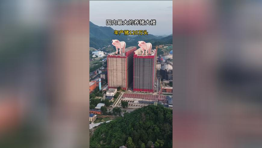 澳门开奖结果2025年今晚开奖,华尔街专家震惊于Deepseek太便宜了,最新热门解答落实_工具版V15.87