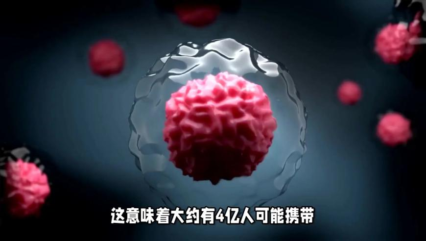 澳门一肖必中一码100准,哈尔滨亚冬会开幕,社会责任方案执行_经典版V6.3