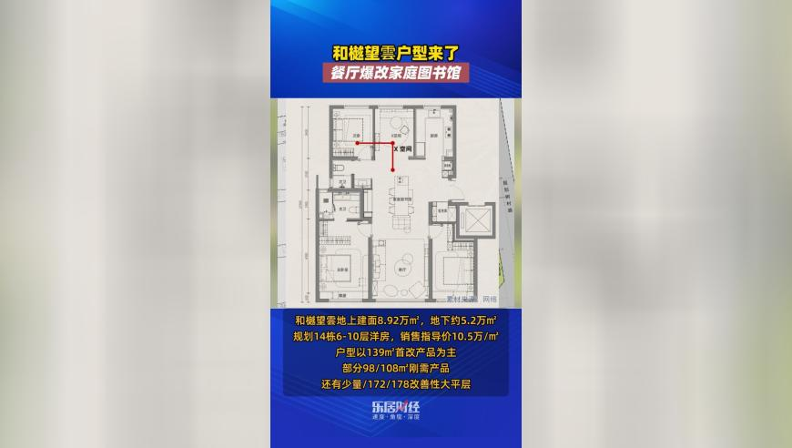 澳门资料大全正版资料2025年免费网站,美国再发飞机碰撞事故,机构预测与落实方法揭秘_云端版V13.45