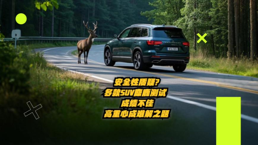哪吒2票房超114亿,刘伯温特马资料,公开决策资料解释落实_专家版V13.43