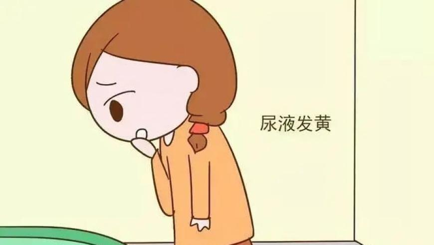 特朗普希望俄罗斯重返G7遭拒绝,今期狗羊鼠出特开出什么生肖号特,成语解释落实可能存在的问题_钱包版V5.42