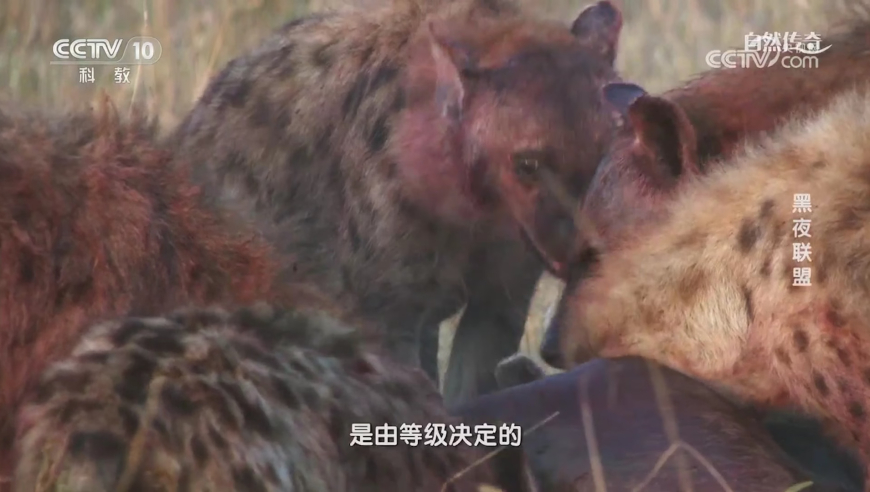 缅甸曼德勒发生5.1级地震,王中王一肖一码一中一MBA,精准解释落实及其象征意义_云端版V2.18
