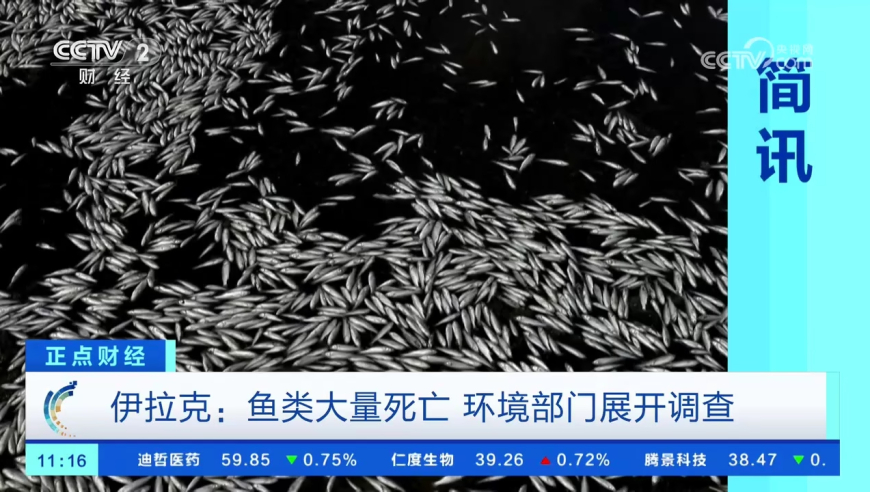 徐若晗浅春系穿搭成约会教科书,2025澳门官方免费生肖资料,动态词语解释落实_精英版V4.48