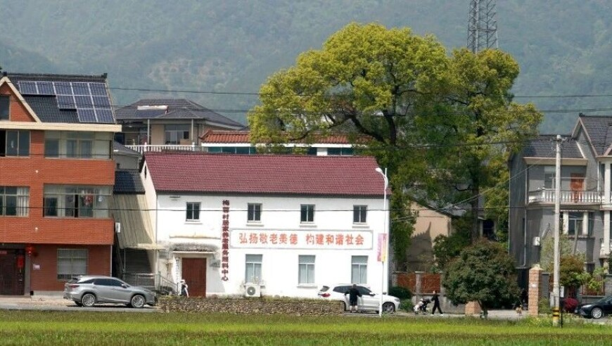 全国博物馆春节观众达7200万,管家婆三期三肖必出一期一,公开决策资料解释落实_开发版V1.83