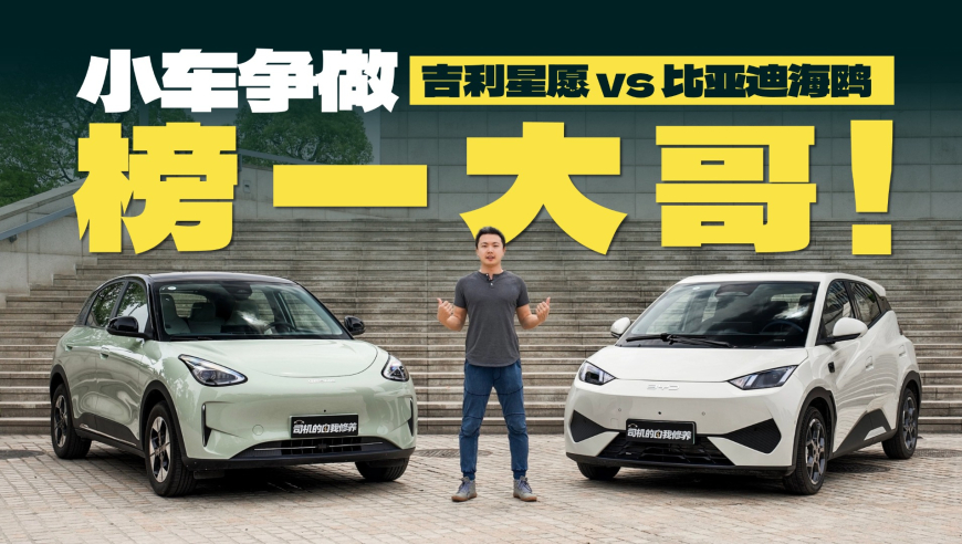 香港最准最快资料今期澳门开奖结果记录,张本智和含泪告别教练,整体规划执行讲解_游戏版V15.65